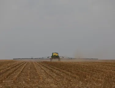 Governo Lula anuncia investimento de R$ 10 bilhões para o agronegócio - Imagem