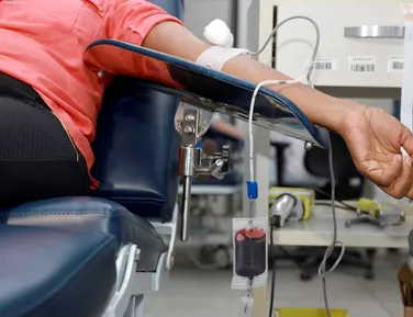 Hemoba anuncia horários para doação de sangue na Páscoa; veja como doar - Imagem