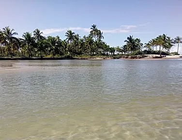 Homem é encontrado decapitado em praia de cidade turística da Bahia - Imagem