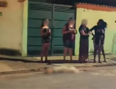 Idoso é atacado por pit bull e tutor mata cão a facadas - Imagem