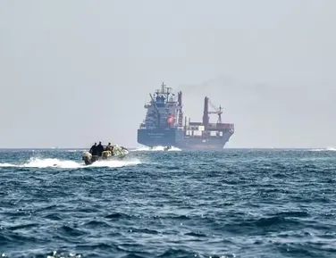 Irã avalia usar golfinhos com minas em ataques no Estreito de Ormuz - Imagem