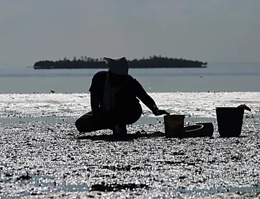 Kirimurê está gritando. Ou melhor, pedindo socorro contra agressões - Imagem
