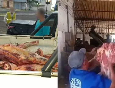 Mais de 200 kg de carne bovina sem inspeção são apreendidos - Imagem