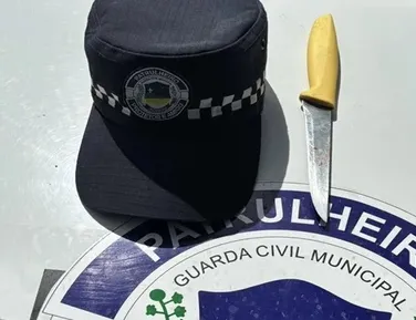 Mulher é presa após esfaquear três familiares em briga por imóvel - Imagem