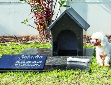 Nova lei pode permitir que pets sejam sepultados junto aos tutores - Imagem