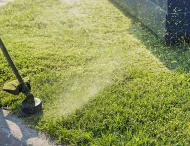 Nova regra pode multar quem cortar grama entre 12h e 16h; entenda - Imagem