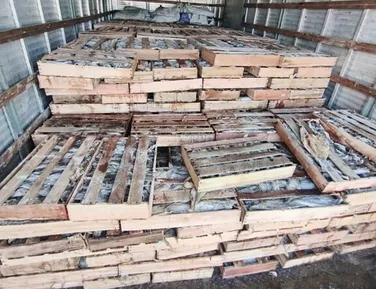 Nove toneladas de peixe são apreendidas em operação na Bahia - Imagem