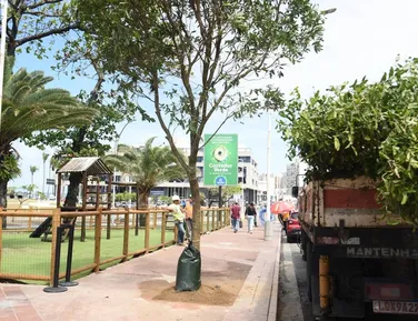 Paisagismo furtado - Imagem