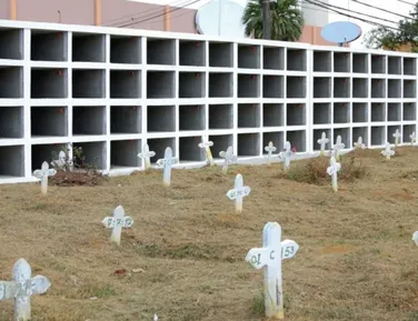 Prefeitura de Salvador oferece cremação gratuita; saiba como conseguir - Imagem