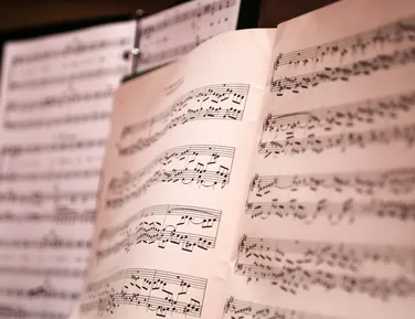 TCA promove minicurso gratuito e online; saiba mais - Imagem