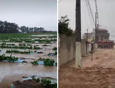 Temporal alaga plantação de melão e inunda casas na Bahia - Imagem