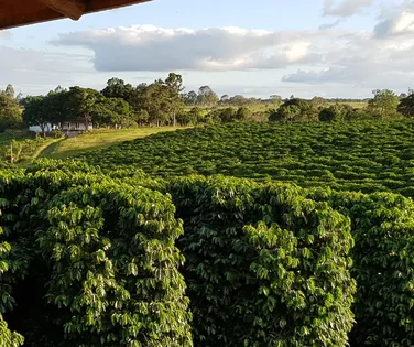 Agricultores investem EUR 311 milhões anuais em pesquisa - Imagem