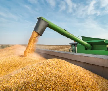 Além da Bolsa de Chicago: gestão de riscos, por Roberta Paffaro - Imagem