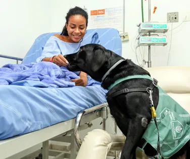 Animais estão liberados para visitar tutores em hospitais de Salvador - Imagem