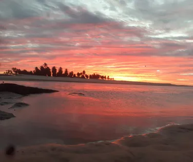 Braço humano em decomposição é encontrado na areia de praia turística - Imagem