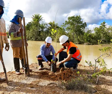 BYD planta mais de 15 mil mudas nativas da Mata Atlântica em Camaçari - Imagem