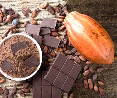 Cadeia cacau–chocolate–floresta. Quem está pagando a conta? - Imagem