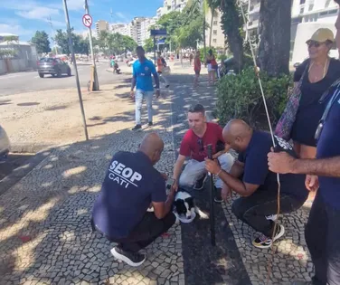 Cadela é resgatada após passar três dias presa dentro de carro - Imagem