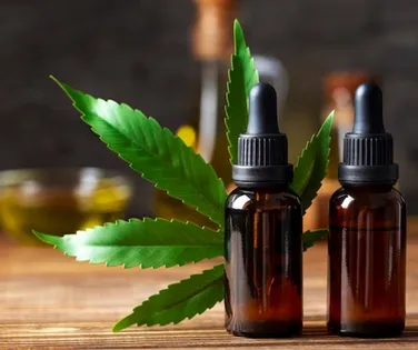 Canabidiol: confira cinco condições em que a substância pode ajudar - Imagem