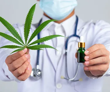 Cannabis medicinal tem alta procura por brasileiros; saiba o motivo - Imagem