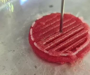 Carne nova no pedaço? Proteína de laboratório cresce e mira mercado na Bahia - Imagem