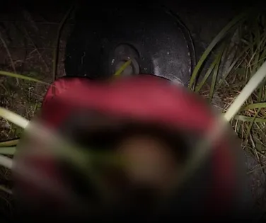 Crânio humano é encontrado dentro de panela de pressão em área de mata - Imagem