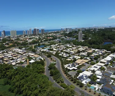 Editorial - Verde desigual - Imagem