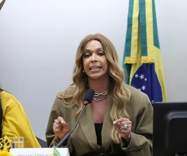 Erika Hilton é eleita presidente da Comissão da Mulher na Câmara Federal - Imagem