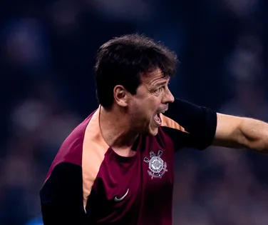 Fernando Diniz critica gramado do Barradão "Não favorece o jogo" - Imagem