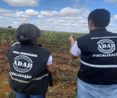 Governo da Bahia reabre concurso com 200 vagas; veja como se inscrever - Imagem