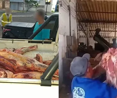 Mais de 200 kg de carne bovina sem inspeção são apreendidos - Imagem
