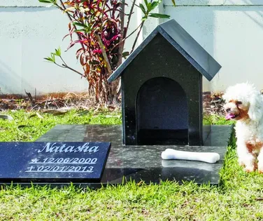 Nova lei pode permitir que pets sejam sepultados junto aos tutores - Imagem