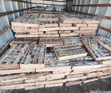 Nove toneladas de peixe são apreendidas em operação na Bahia - Imagem