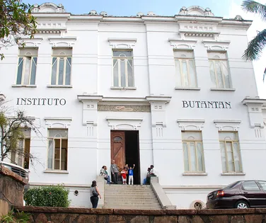 O remédio brasileiro - Imagem