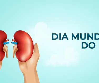 O rim e a vida - Imagem