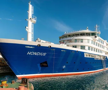 OMS investiga três mortes causadas por vírus raro em navio de cruzeiro - Imagem