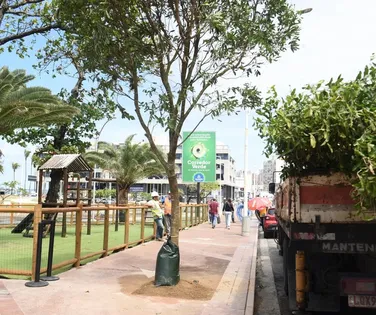 Paisagismo furtado - Imagem