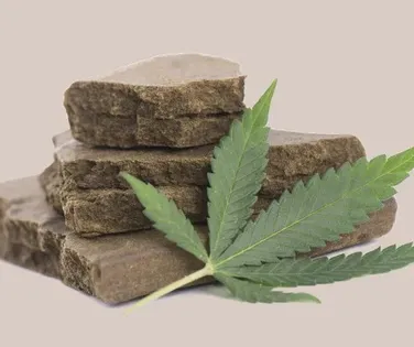 R$ 30 milhões: Brasil realiza maior apreensão de haxixe da história - Imagem