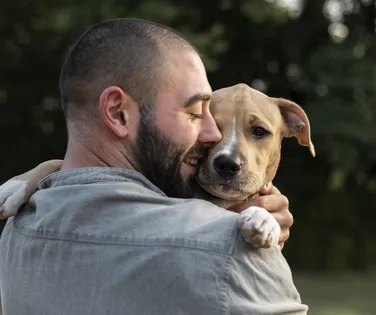 Senado aprova guarda compartilhada de pets após separação - Imagem