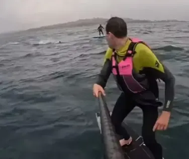 Surfista é perseguido por tubarão por mais de 3 km - Imagem