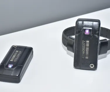 Tornozeleira obrigatória: Bahia busca frear feminicídios com nova lei - Imagem