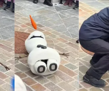 Vídeo: robô da Disney entra em colapso por não suportar trabalho humano - Imagem