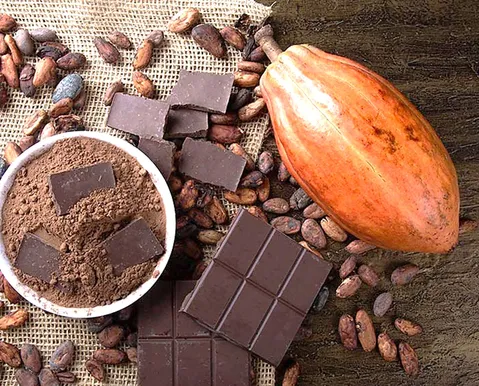 Cadeia cacau–chocolate–floresta. Quem está pagando a conta?