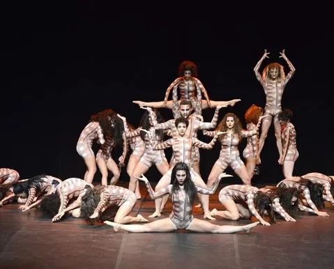 Festival de Dança com entrada gratuita vai agitar Camaçari em junho - Imagem