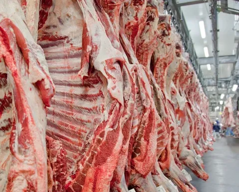Fim do veto: China libera frigoríficos brasileiros para exportar carne - Imagem