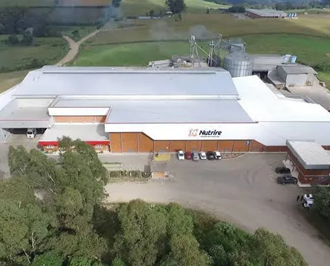 Mercado pet bilionário: multinacional asiática adquire grande empresa do Brasil