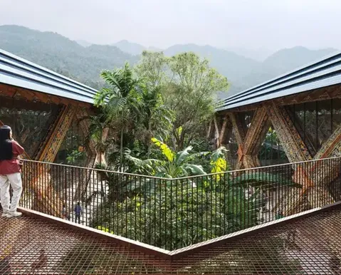 País considerado secreto vai ganhar aeroporto futurista na selva; veja