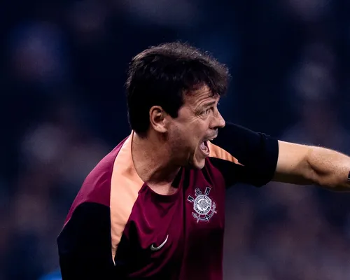 Fernando Diniz critica gramado do Barradão "Não favorece o jogo" - Imagem