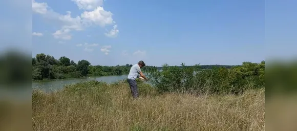 Vala comum revela massacre de mulheres e meninas há quase 3 mil anos - Imagem