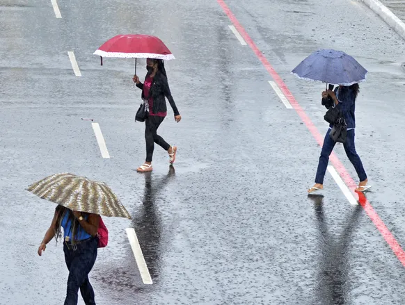Bahia entra em alerta para chuvas e ventos fortes; veja áreas atingidas - Imagem